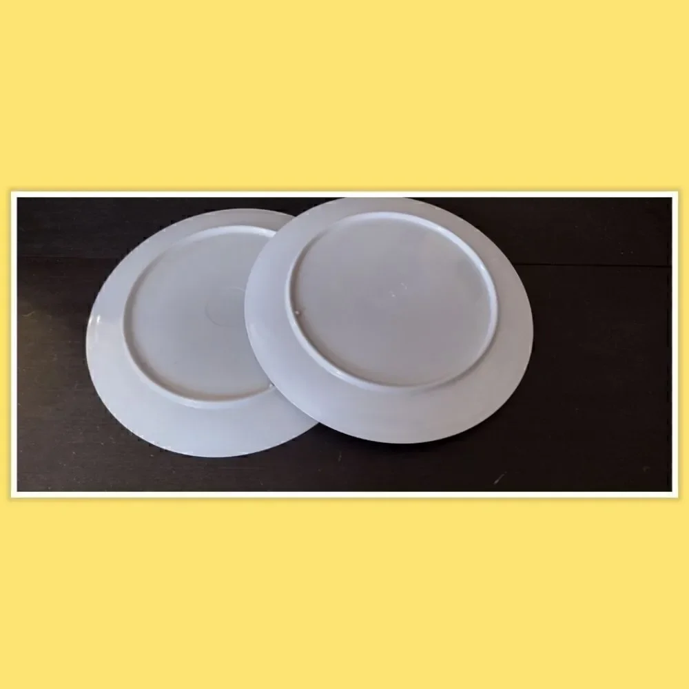 1989 (2) MCDONALD'S ADVERTISING THE MCNUGGET BAND PLASTIC PLATE
